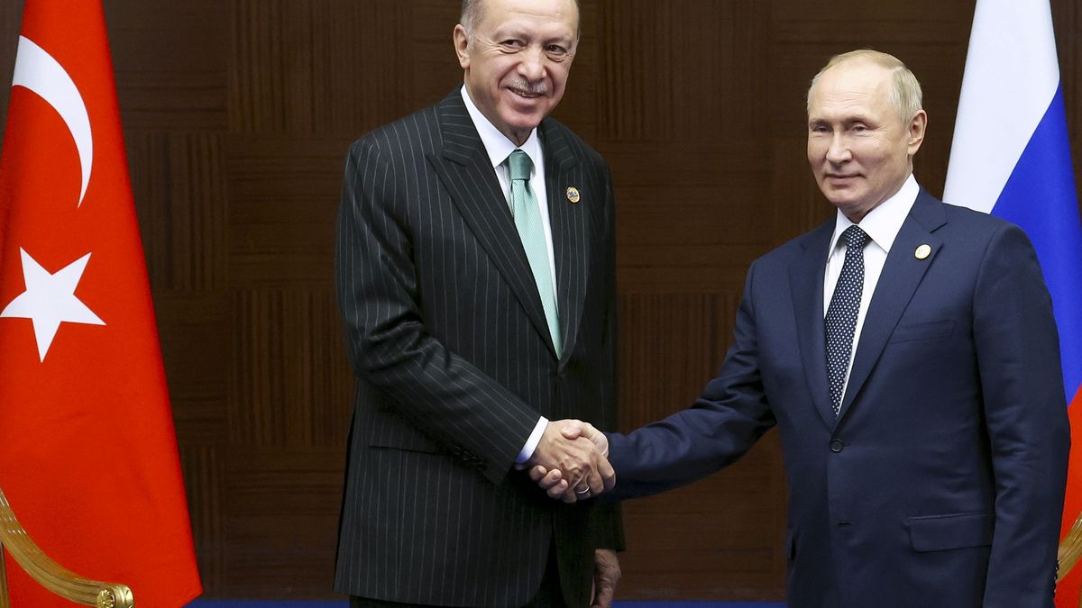 Erdogan: Turecko chce být distribučním centrem ruského plynu pro Evropu